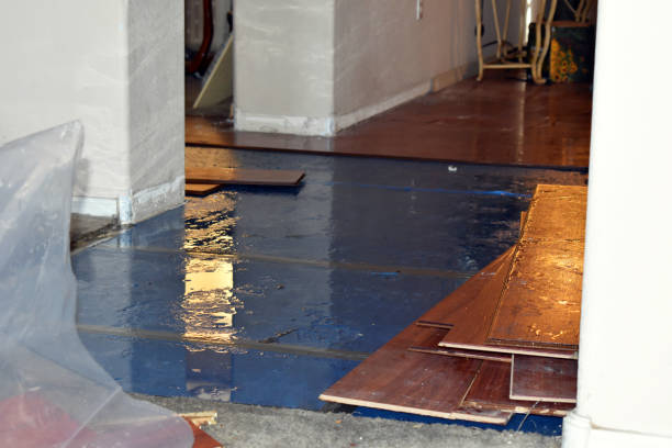 Professional Water Damage Restoration technician working in Town Creek, AL
